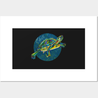 Slider turtle sticker by Robert Phelps Posters and Art